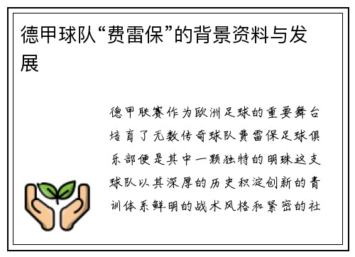 德甲球队“费雷保”的背景资料与发展