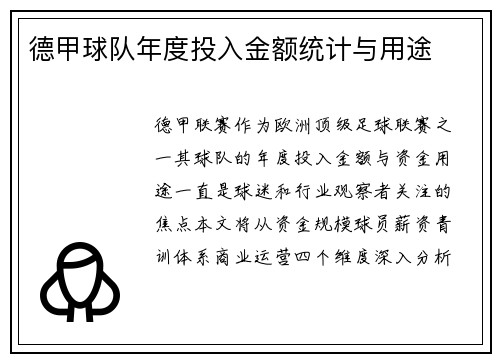 德甲球队年度投入金额统计与用途